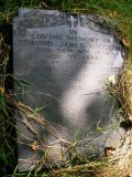 image of grave number 484452
